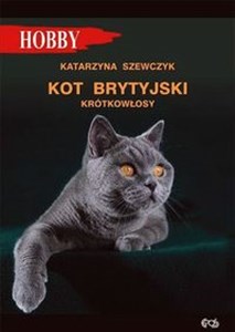 Kot brytyjski krótkowłosy - Księgarnia Niemcy (DE)