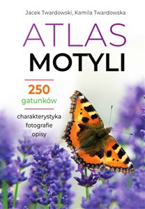 Atlas motyli 250 gatunków - Księgarnia UK