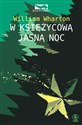 W księżycową jasną noc