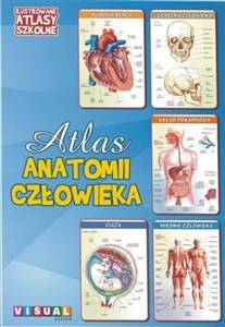 Ilustrowany atlas szkolny.Atlas anatomii człowieka - Księgarnia Niemcy (DE)