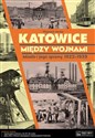 Katowice między wojnami Miasto i jego sprawy 1922-1939 - Wojciech Janota