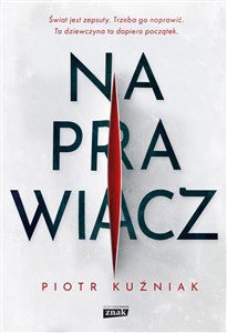 Naprawiacz