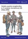 Armia austro-węgierska w I Wojnie Światowej 1916-1918. Tom 2 - Peter Jung