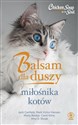 Balsam dla duszy miłośnika kotów - Jack Canfield, Carol Kline, Mark Victor Hansen