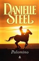 Palomino - Danielle Steel