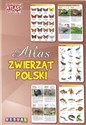 Ilustrowany atlas szkolny. Atlas zwierząt Polski - Opracowanie Zbiorowe