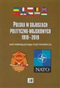 Polska w sojuszach polityczno-wojskowych 1919-2019 - Jerzy Kajetanowicz