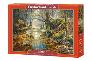 Puzzle Reminiscence of the Autumn Forest 2000 C-200757 - Księgarnia Niemcy (DE)