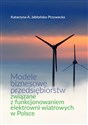 Modele biznesowe przedsiębiorstw związane z funkcjonowaniem elektrowni wiatrowych w Polsce