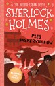 Klasyka dla dzieci Sherlock Holmes Tom 22 Pies Baskerville'ów