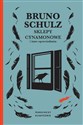 Sklepy cynamonowe i inne opowiadania - Bruno Schulz