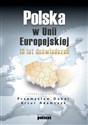 Polska w Unii Europejskiej 10 lat doświadczeń - Przemysław Dubel, Artur Adamczyk