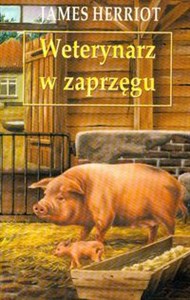 Weterynarz w zaprzęgu