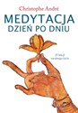 Medytacja dzień po dniu - Christophe Andre