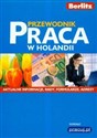 Berlitz Przewodnik Praca w Holandii