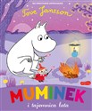 Muminek i tajemnica lata - Tove Jansson