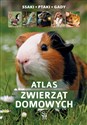 Atlas zwierząt domowych