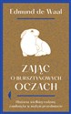 Zając o bursztynowych oczach Historia wielkiej rodziny zamknięta w małym przedmiocie - Edmund Waal