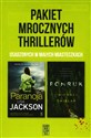 Pakiet mrocznych thrillerów osadzonych w małych miasteczkach: Paranoja/Pomruk