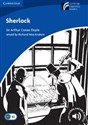 Sherlock Level 5 Upper-Intermediate - Richard MacAndrew