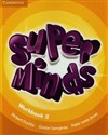 Super Minds 5 Workbook