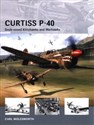 Curtiss P-40 Snub-nosed Kittyhawks and Warhawks - Carl Molesworth