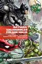 Batman Wojownicze Żółwie Ninja