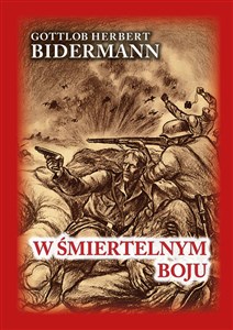 W śmiertelnym boju Pamiętniki niemieckiego żołnierza z frontu wschodniego