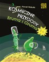 Kosmiczne przygody Bruma i Gruma