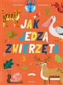 Jak jedzą zwierzęta