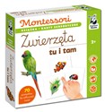 Montessori Zwierzęta tu i tam Karty sensoryczne z książeczką Kapitan Nauka - Katarzyna Dołhun