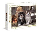 Puzzle Lovely Kittens 1000 