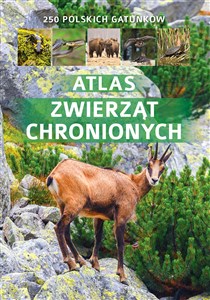 Atlas zwierząt chronionych 250 polskich gatunków - Księgarnia UK