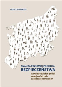 Analiza poziomu i poczucia bezpieczeństwa w świetle działań policji w województwie zachodniopomorskim