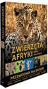 Zwierzęta Afryki Przewodnik na safari  - Anna Olej-Kobus