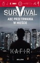 Survival ABC przetrwania w mieście