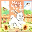 Nasz królik - Wojciech Birek