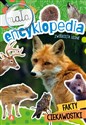 Mała encyklopedia Zwierzęta leśne