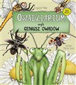 Owadziarium, czyli geniusz owadów - Krzysztof Pabis