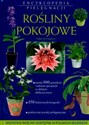 Rośliny pokojowe. Encyklopedia pielęgnacji - Małgorzata Augustyn