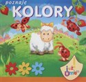 Poznaję kolory Już umiem