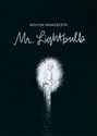 Mr. Lightbulb  - Wojtek Wawszczyk