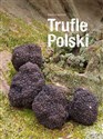 Trufle Polski