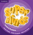 Super Minds 6 Posters