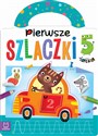 Pierwsze szlaczki 5-latka - Opracowanie Zbiorowe