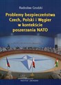 Problemy bezpieczeństwa Czech, Polski i Węgier w kontekście poszerzania NATO