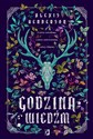 Godzina wiedźm - Alexis Henderson