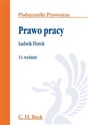 Prawo pracy - Ludwik Florek