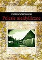 Polesie nieidylliczne Zaburzenia porządku publicznego w województwie poleskim w latach trzydziestych XX wieku