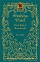 Hrabina Cosel - Józef Ignacy Kraszewski